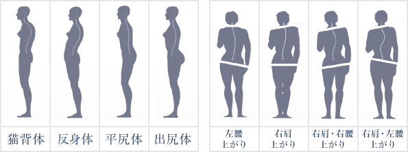 骨格形成期