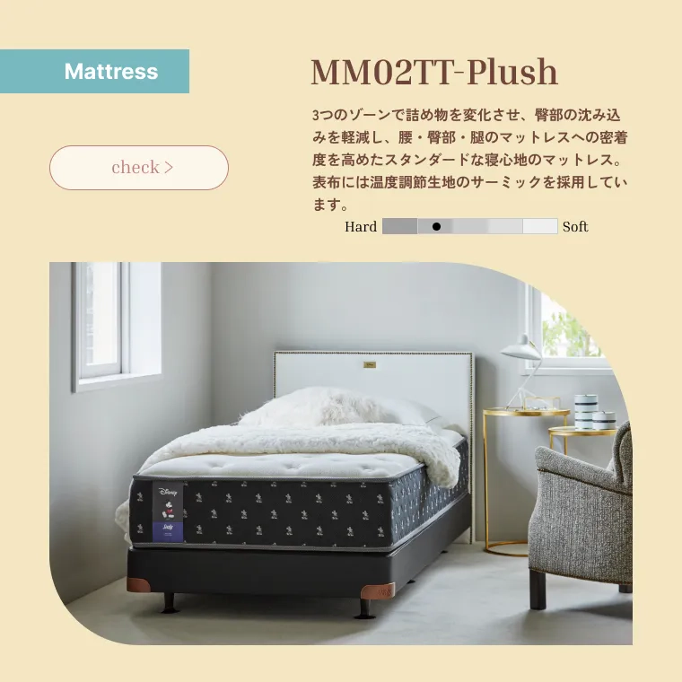 MM02TT-p