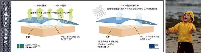 ポリジンの効果