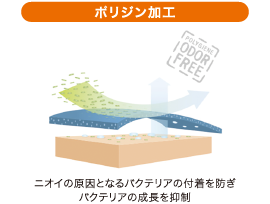 ポリジン加工