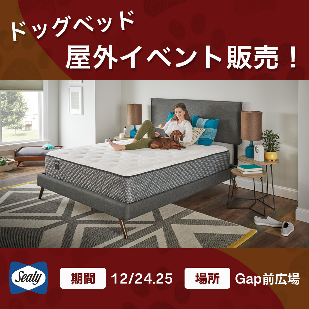 シーリー土岐プレミアム・アウトレット ドッグベッド屋外イベント12/24・25